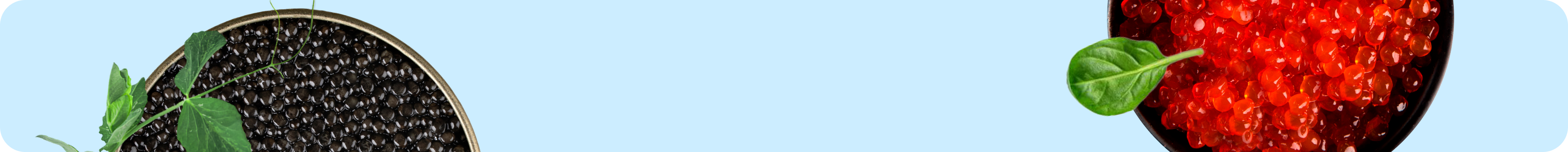 businessBanner