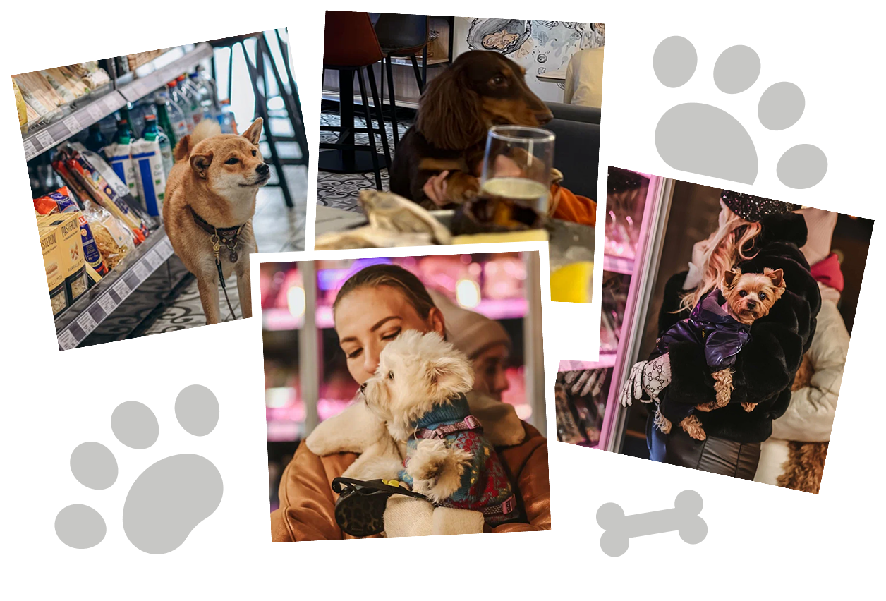 Pets Collage